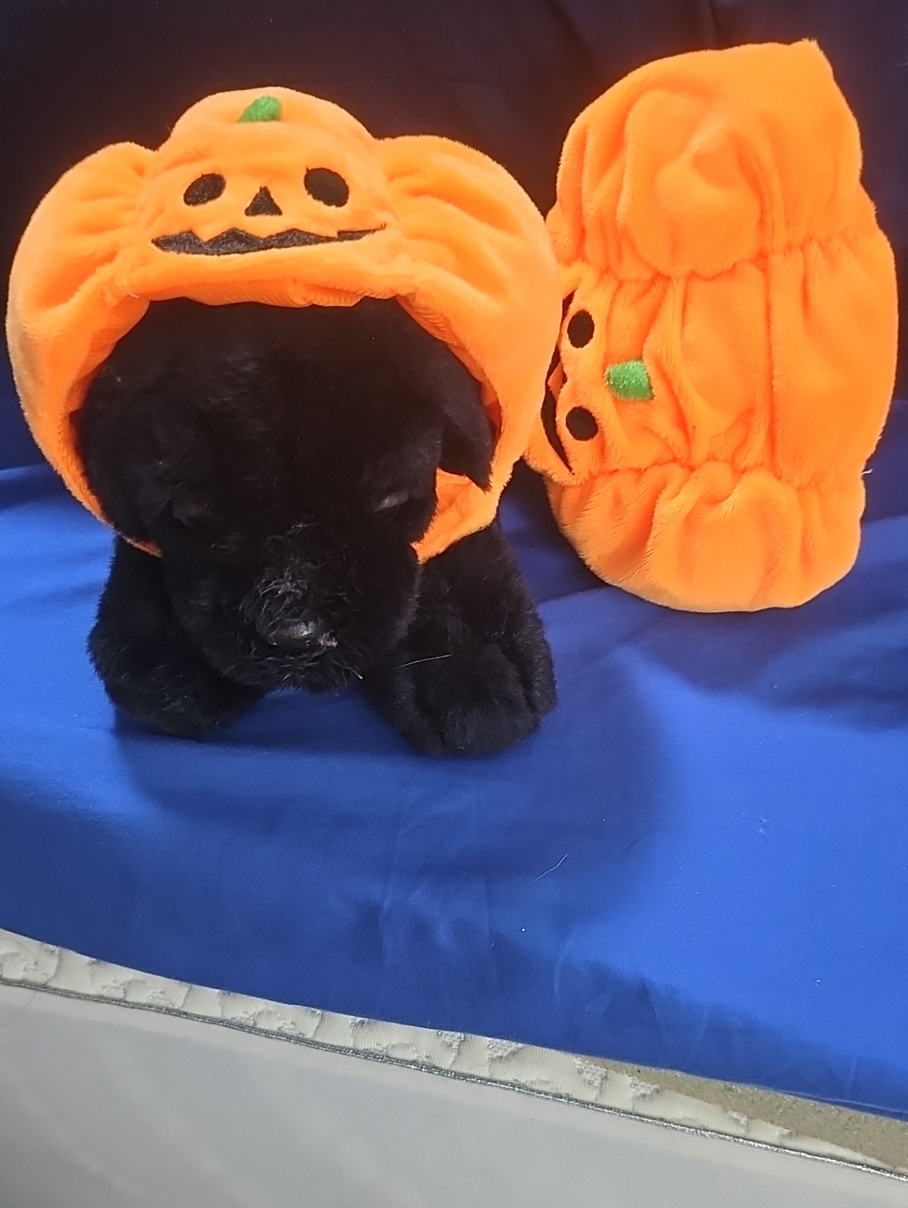 Pumpkin Plush Dog Costume Hat -Set Of 2
